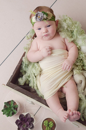 Maeve_Newborn-249-7